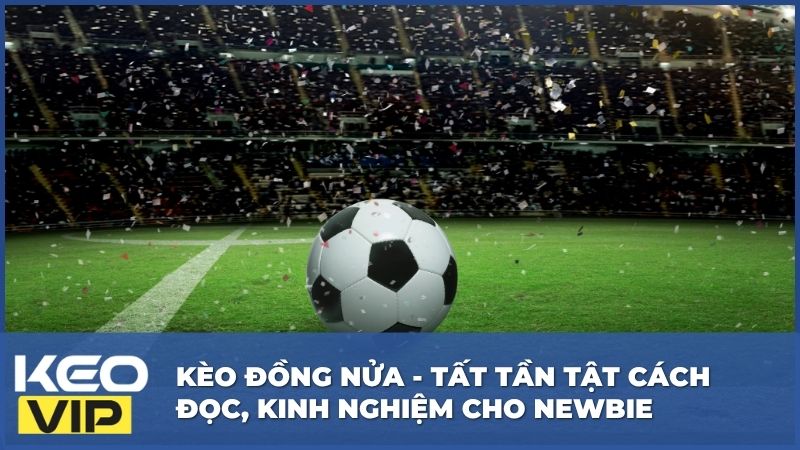 Kèo Đồng Nửa - Tất Tần Tật Cách Đọc, Kinh Nghiệm Cho Newbie 2 Kèo Đồng Nửa