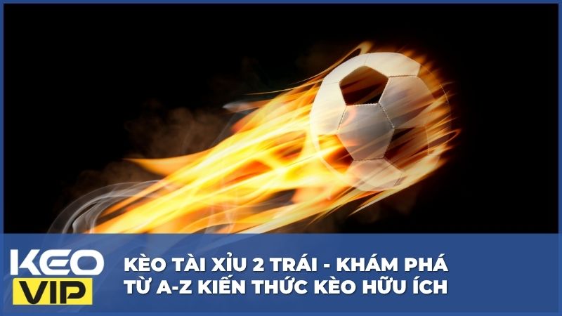 Kèo Tài Xỉu 2 Trái - Khám Phá Từ A-Z Kiến Thức Kèo Hữu Ích 1 Kèo Tài Xỉu 2 Trái